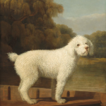 George Stubbs, White Poodle in a Punt, 1780, NGA, Washington